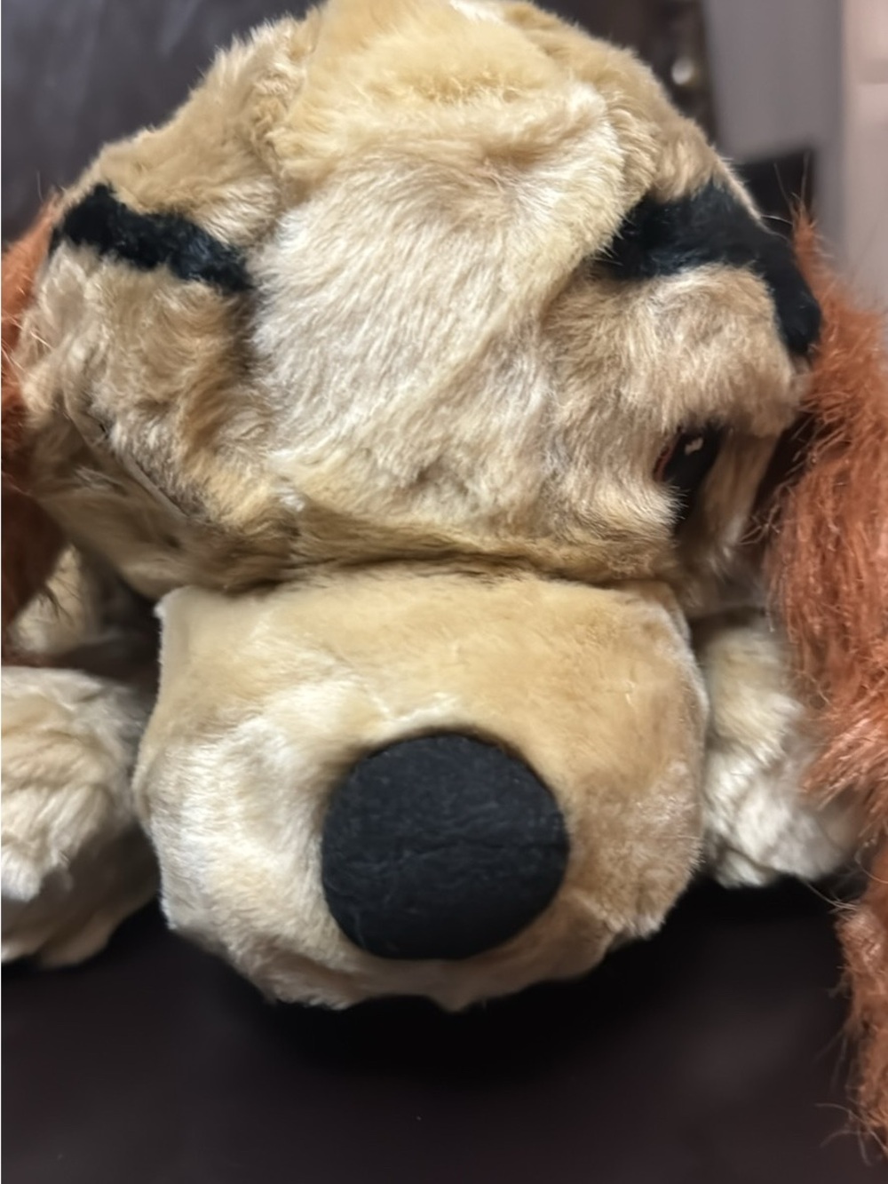 Disney lady from lady and the tramp dog